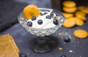 The amazing health benefits of probiotics home-made Yogurt - probiotics