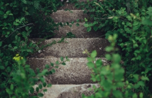 Health benefits of taking the stairs as compared to taking the elevator