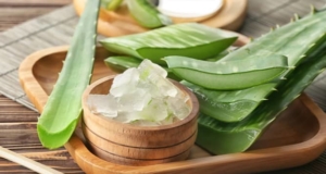 The amazing health benefits of Aloe Vera health benefits of Aloe Vera