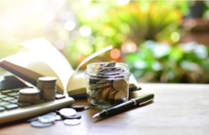 Best Investment Tips for You Investment