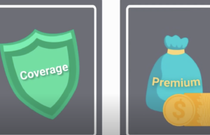 Earn Discount on Motor Insurance Premiums