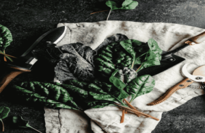 Spinach vs. Kale: Which One Is Healthier? Spinach vs. Kale