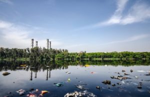 How to Reduce Waste in Your Daily Life Reduce Waste in Your Daily Life