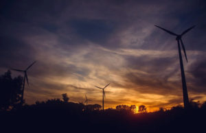 The Role of Businesses in Environmental Sustainability Role of Businesses