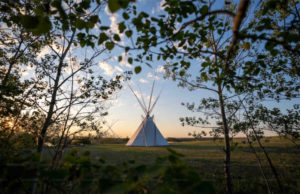 The Joy of Outdoor Living: Embrace Nature and Spend More Time Outside Joy of Outdoor Living