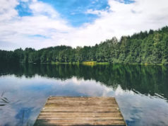 The Rise of ESG Investing: How to Invest with a Social and Environmental Conscience Rise of ESG Investing