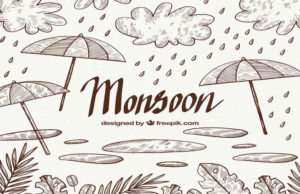 Foods to Avoid During the Rainy Season Foods to Avoid During the Rainy Season