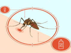 Monsoon Season Precautions from Mosquito-Borne Diseases Mosquito-Borne Diseases