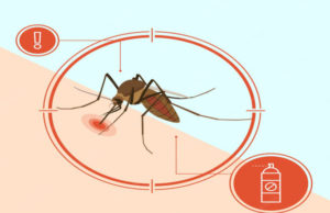 Monsoon Season Precautions from Mosquito-Borne Diseases Mosquito-Borne Diseases